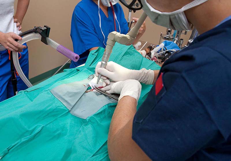 Bác sĩ cảnh báo gì khi điều trị trĩ bằng laser sai đối tượng?